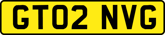 GT02NVG