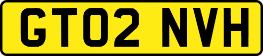 GT02NVH
