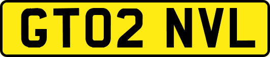 GT02NVL