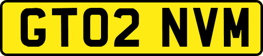 GT02NVM