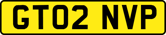 GT02NVP