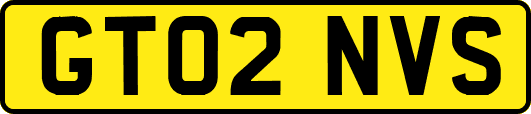 GT02NVS