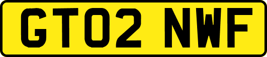 GT02NWF