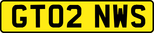 GT02NWS