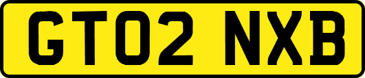 GT02NXB