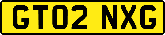 GT02NXG