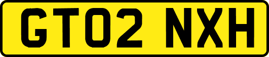 GT02NXH