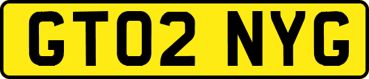 GT02NYG