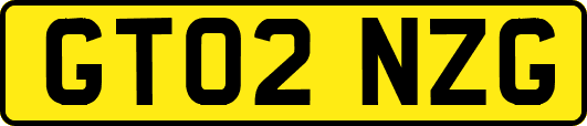 GT02NZG