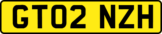 GT02NZH