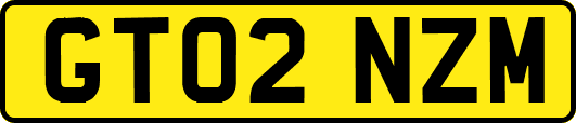 GT02NZM