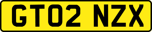 GT02NZX
