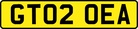 GT02OEA
