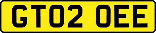 GT02OEE