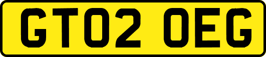 GT02OEG