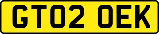 GT02OEK