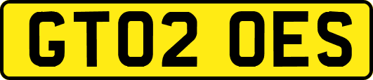 GT02OES
