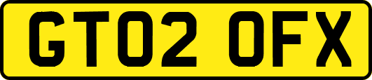 GT02OFX