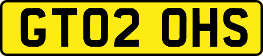 GT02OHS