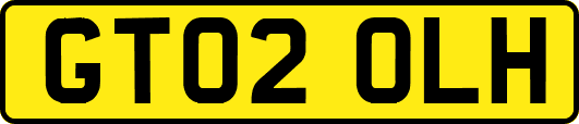 GT02OLH