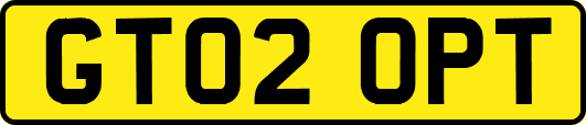 GT02OPT