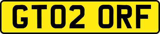 GT02ORF