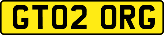 GT02ORG