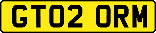 GT02ORM