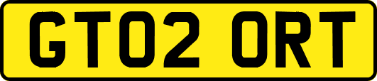 GT02ORT