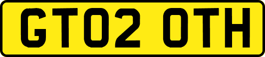 GT02OTH