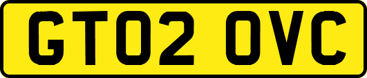GT02OVC