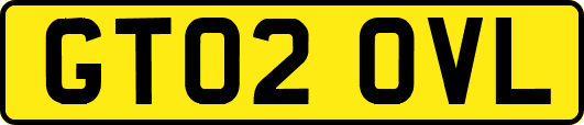 GT02OVL