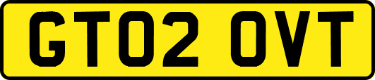 GT02OVT
