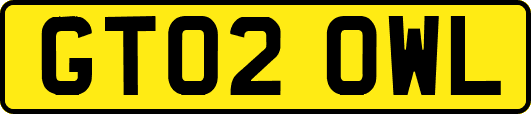 GT02OWL