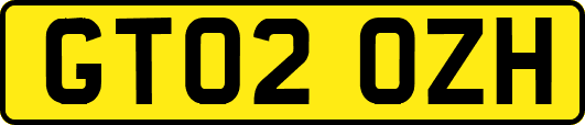 GT02OZH