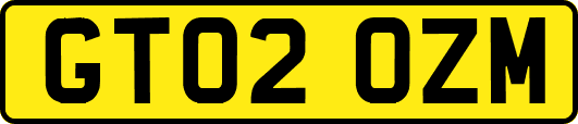 GT02OZM