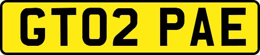 GT02PAE