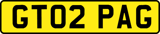GT02PAG