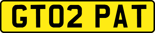 GT02PAT