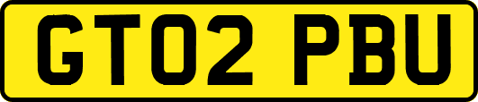 GT02PBU