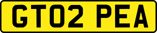 GT02PEA