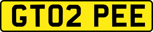 GT02PEE