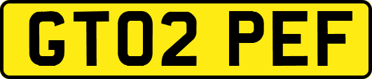 GT02PEF