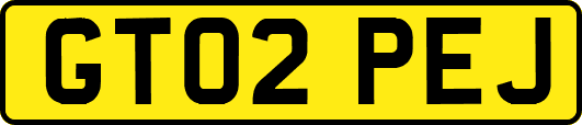 GT02PEJ