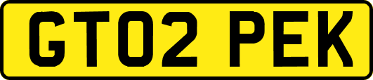 GT02PEK