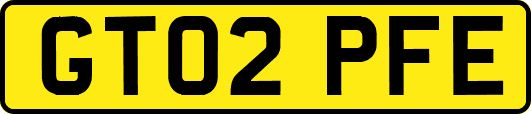 GT02PFE