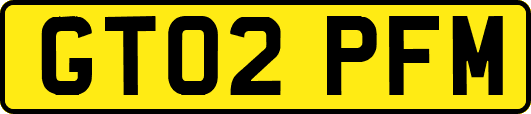 GT02PFM