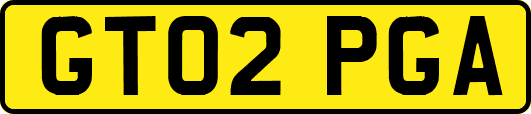 GT02PGA
