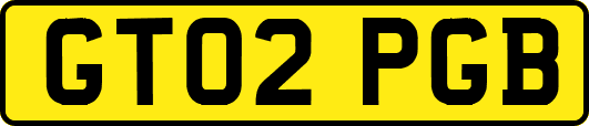 GT02PGB