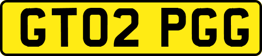 GT02PGG